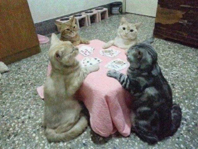 Acid Picdump. Part 2 (95 pics)