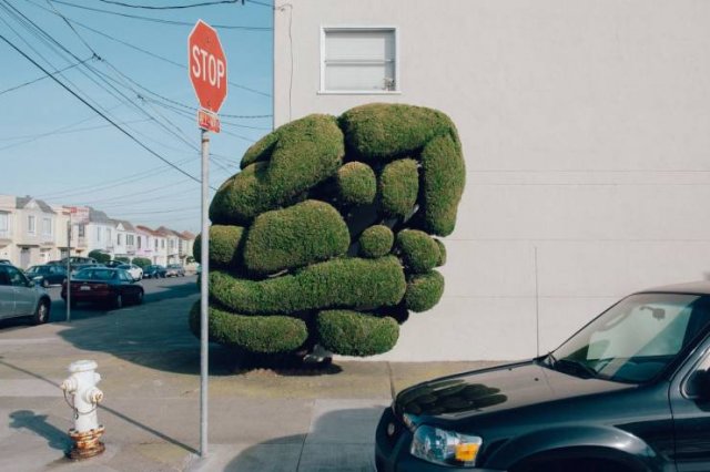 Acid Picdump. Part 2 (95 pics)