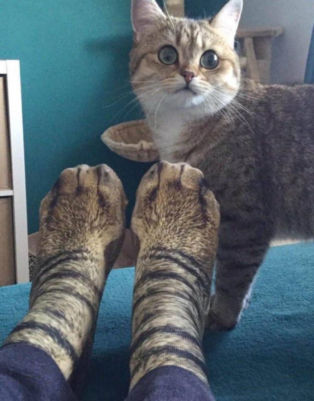 Acid Picdump. Part 2 (95 pics)