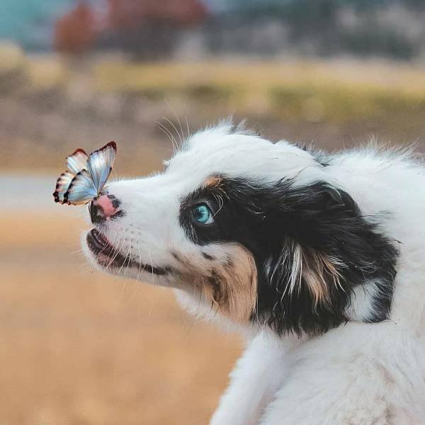 Acid Picdump. Part 2 (95 pics)