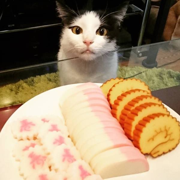 Acid Picdump. Part 2 (95 pics)
