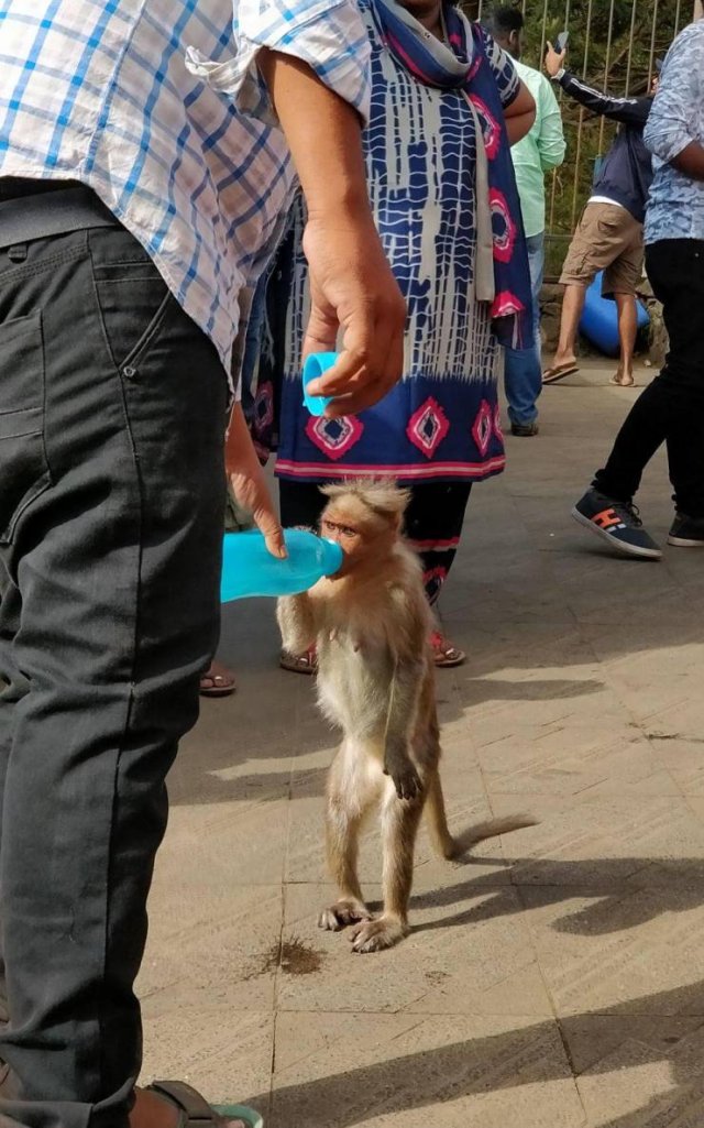 Acid Picdump. Part 2 (95 pics)