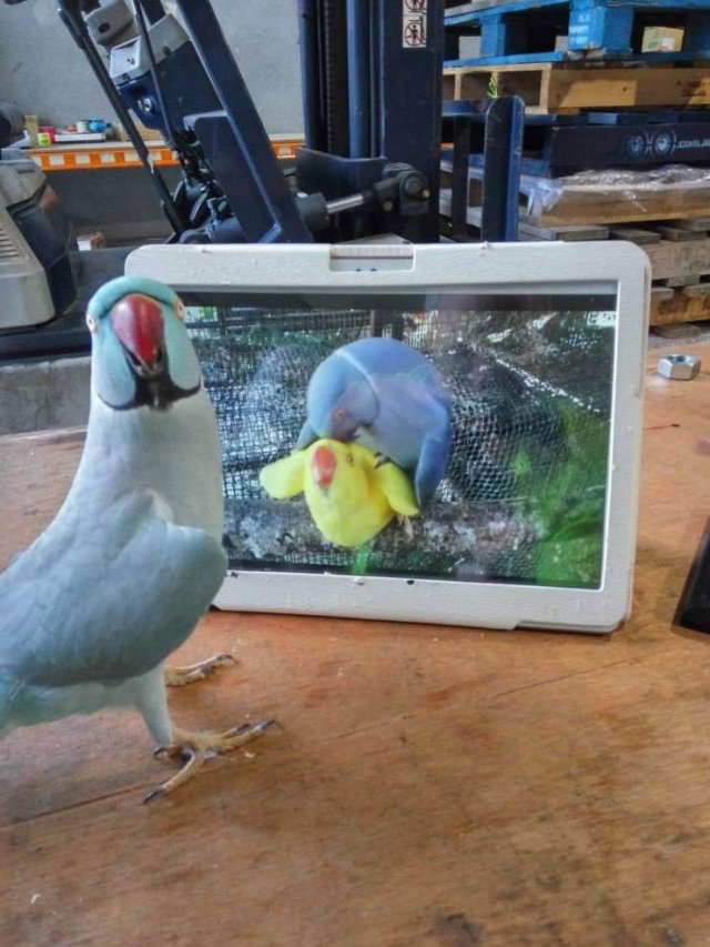 Acid Picdump. Part 2 (95 pics)