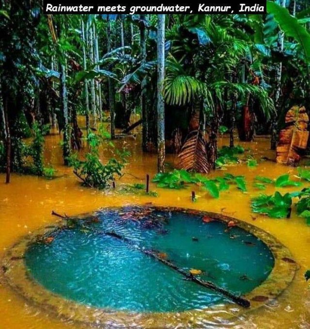 Acid Picdump. Part 2 (95 pics)