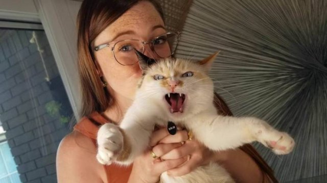 Acid Picdump. Part 2 (95 pics)