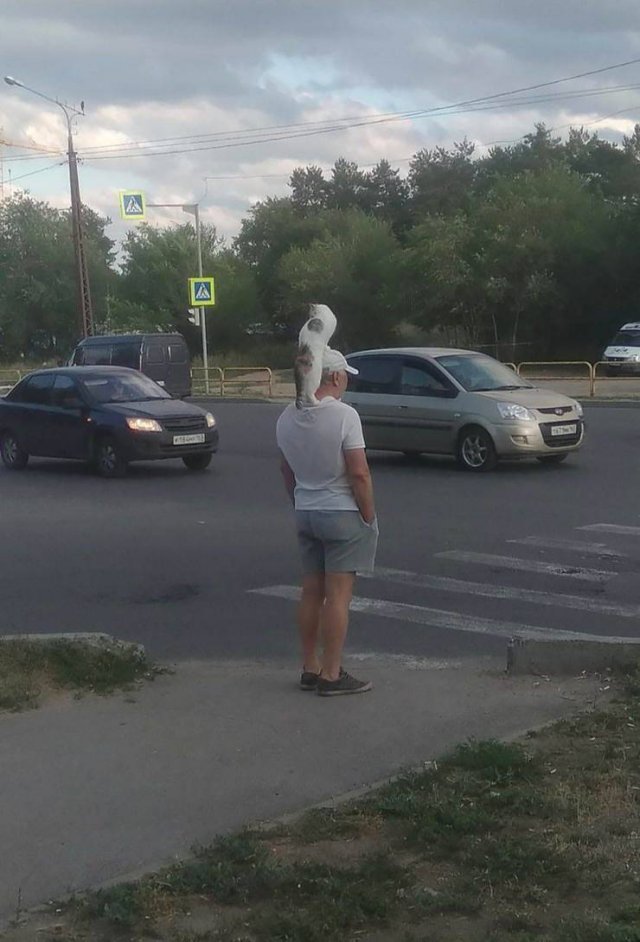 Acid Picdump. Part 2 (95 pics)