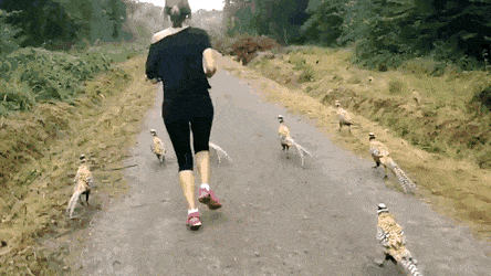 Acid Gifdump, July 24 (25 gifs)