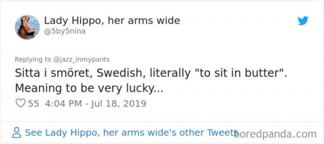 Interesting Non-English Phrases (45 pics)