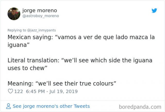 Interesting Non-English Phrases (45 pics)