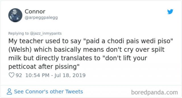 Interesting Non-English Phrases (45 pics)