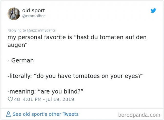 Interesting Non-English Phrases (45 pics)