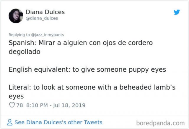 Interesting Non-English Phrases (45 pics)