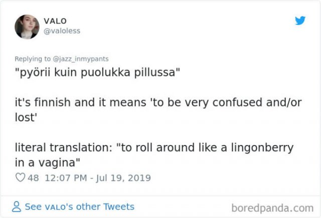 Interesting Non-English Phrases (45 pics)