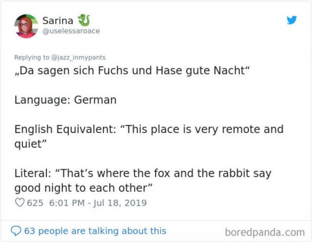 Interesting Non-English Phrases (45 pics)