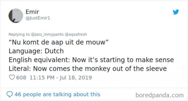 Interesting Non-English Phrases (45 pics)