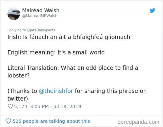 Interesting Non-English Phrases (45 pics)