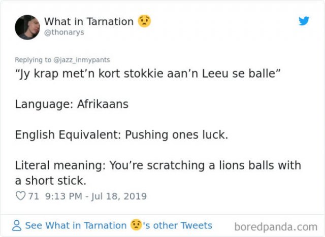 Interesting Non-English Phrases (45 pics)