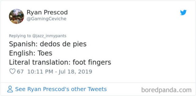 Interesting Non-English Phrases (45 pics)