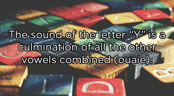 Shower Thoughts (20 pics)