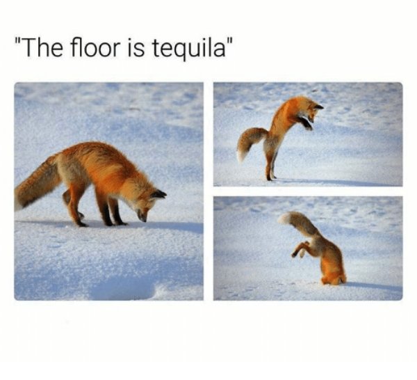 Tequila Memes (27 pics)