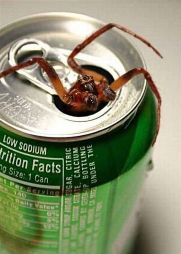 Nope (29 pics)
