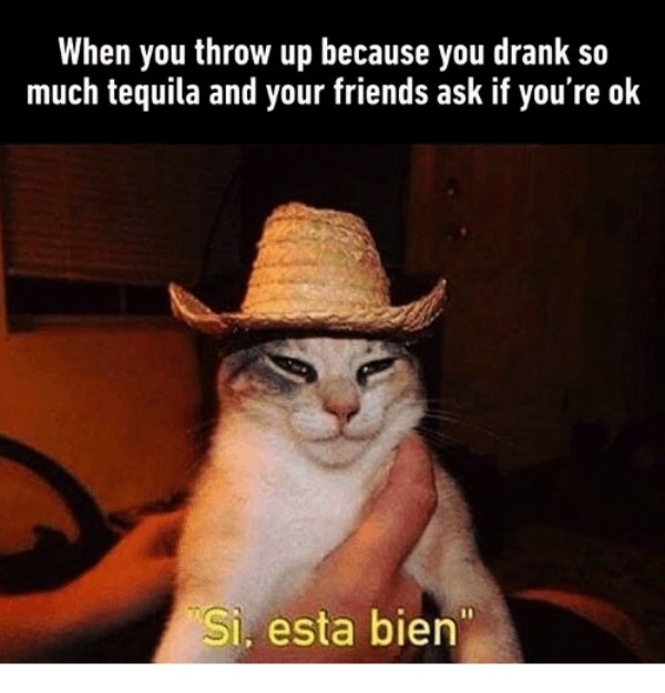 Tequila Coffee Meme at Christopher Ford blog