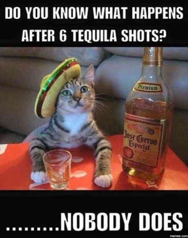 Tequila Memes (27 pics)