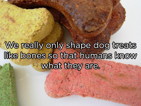 Shower Thoughts (20 pics)