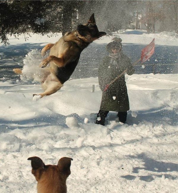 Awesome Timing (29 pics)