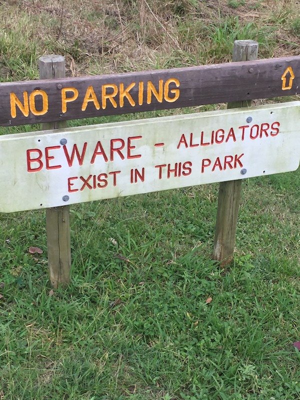 Nope (29 pics)