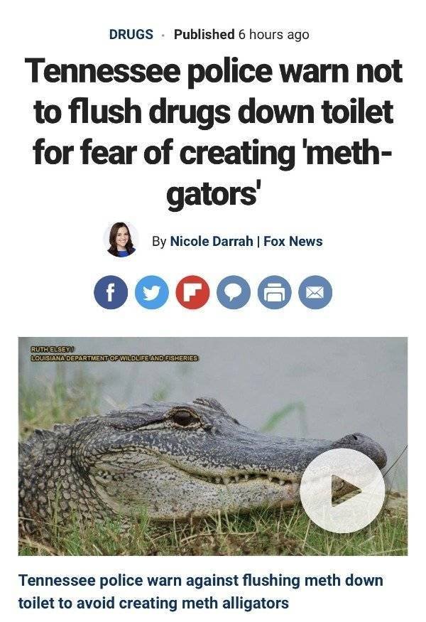 This Got Intense Really Quickly (38 pics)
