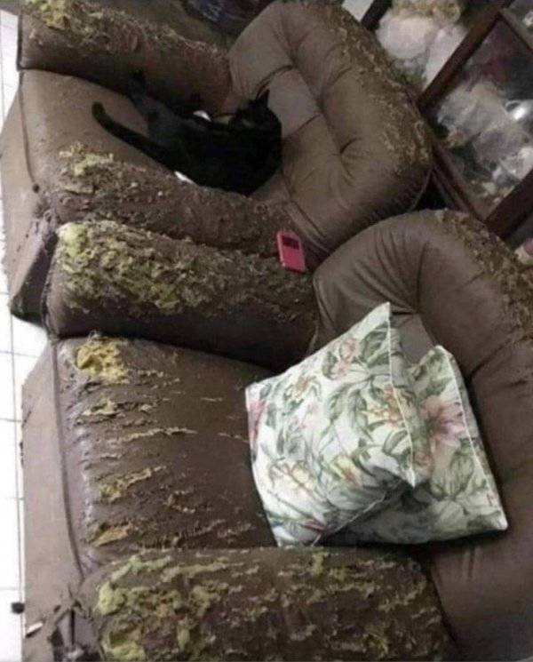 This Got Intense Really Quickly (38 pics)