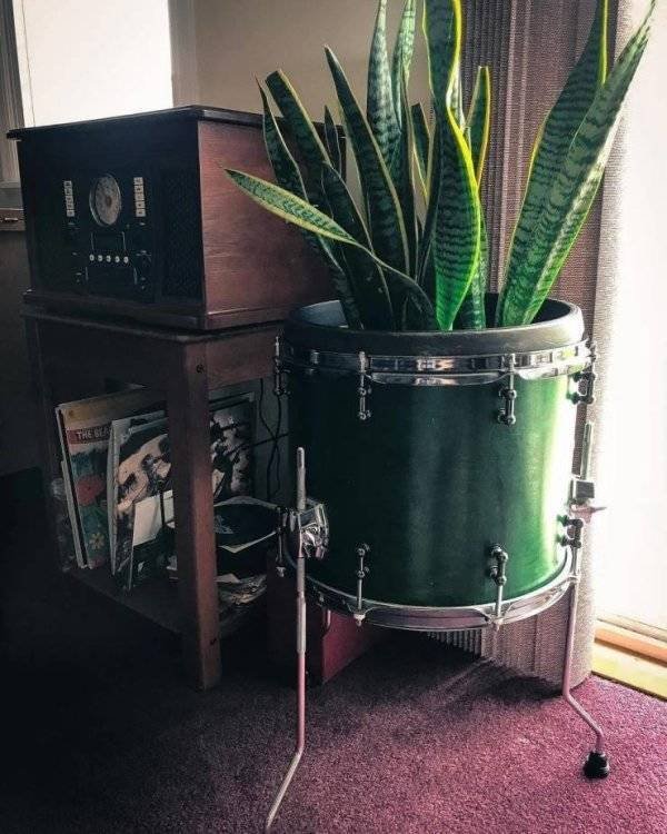 You Don't See Something Like This Very Often (42 pics)