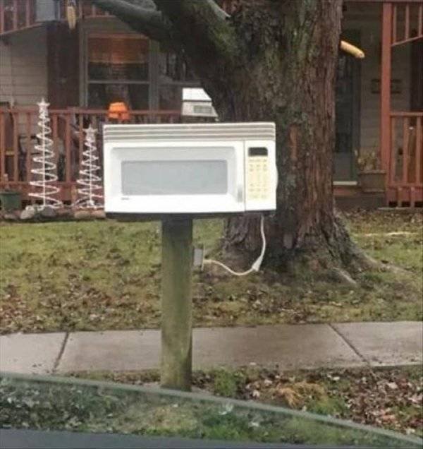 You Don't See Something Like This Very Often (42 pics)