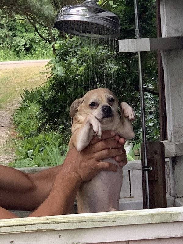 You Don't See Something Like This Very Often (42 pics)
