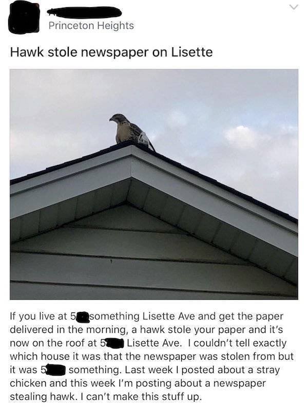 You Don't See Something Like This Very Often (42 pics)