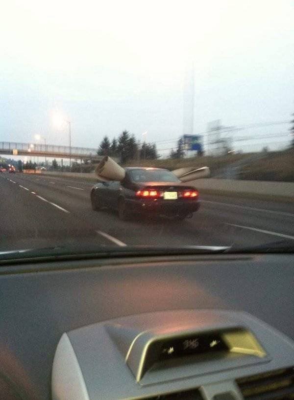 You Don't See Something Like This Very Often (42 pics)