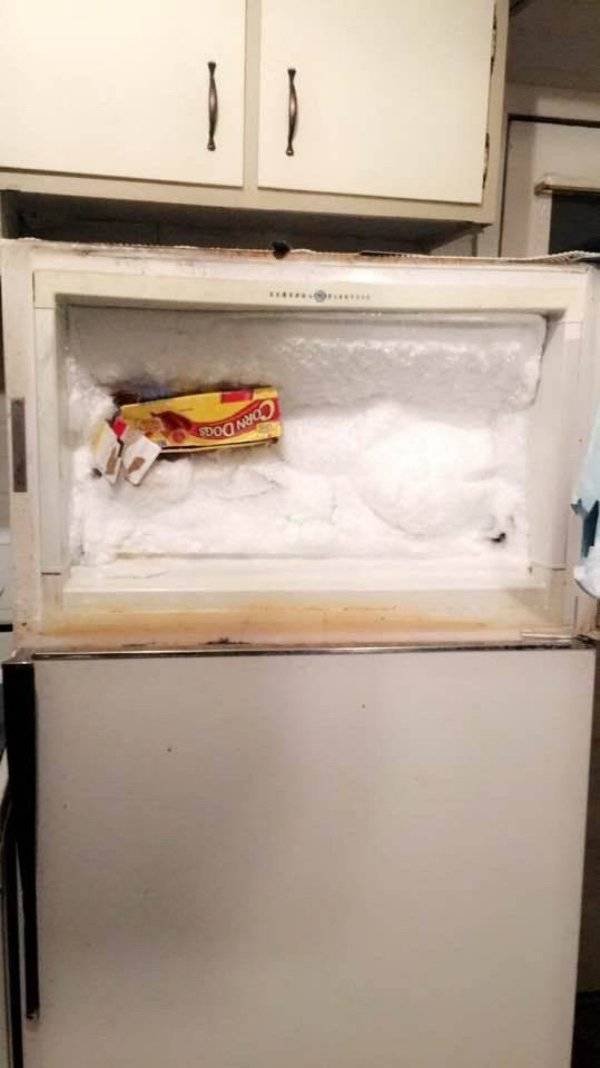 This Got Intense Really Quickly (38 pics)