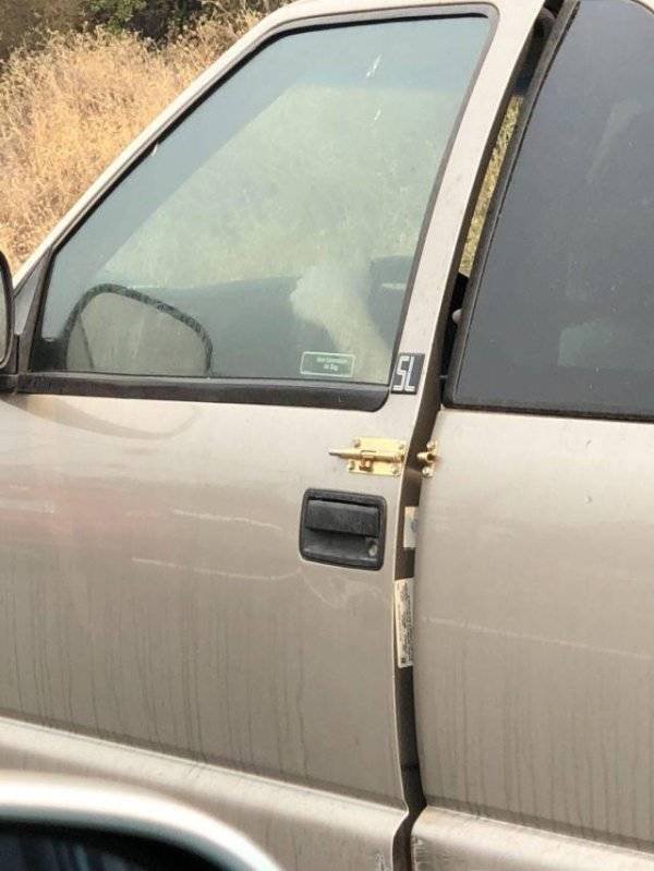 You Don't See Something Like This Very Often (42 pics)