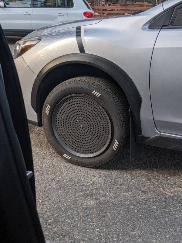 You Don't See Something Like This Very Often (42 pics)