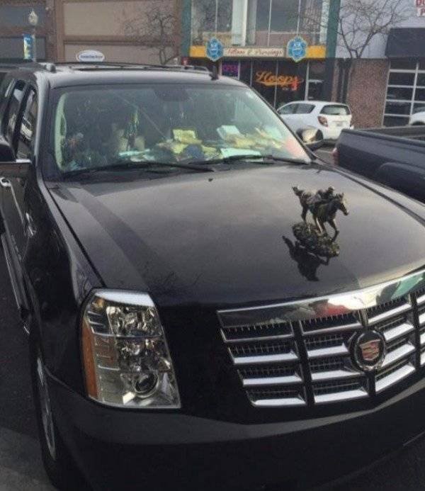 You Don't See Something Like This Very Often (42 pics)