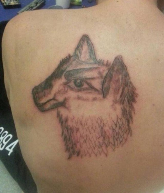 Tattoo Fails (20 pics)
