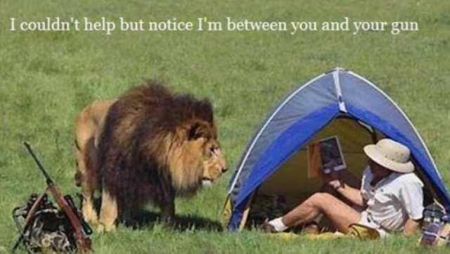 This Got Intense Really Quickly (38 pics)