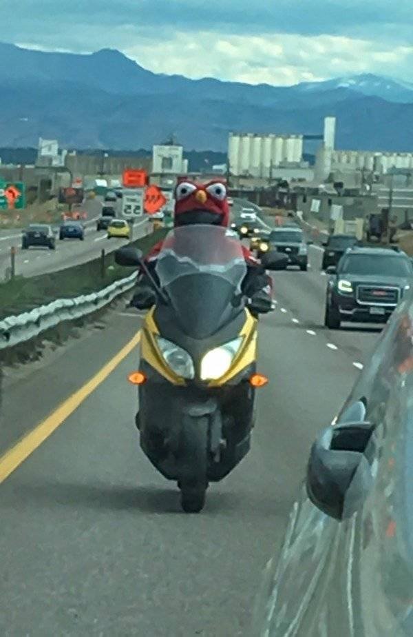 You Don't See Something Like This Very Often (42 pics)