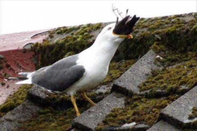 This Got Intense Really Quickly (38 pics)