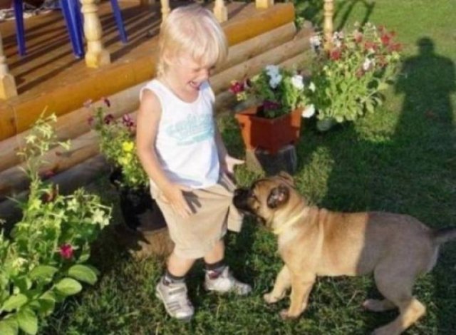 This Got Intense Really Quickly (38 pics)