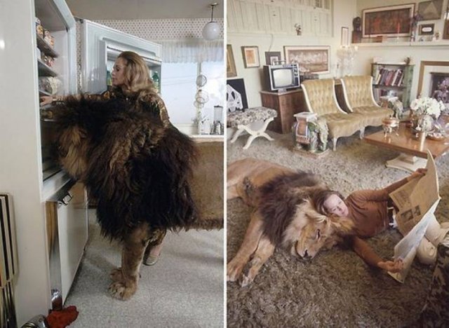 Acid Picdump. Part 1 (96 pics)