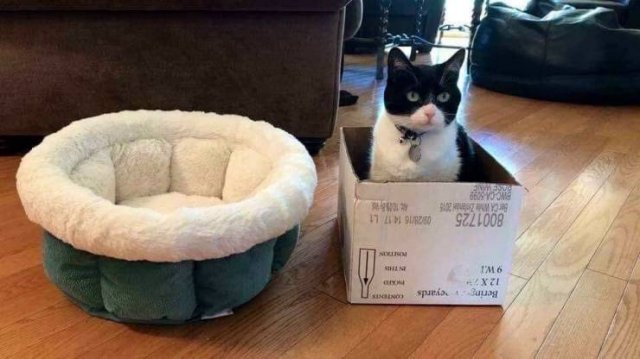 Acid Picdump. Part 1 (96 pics)