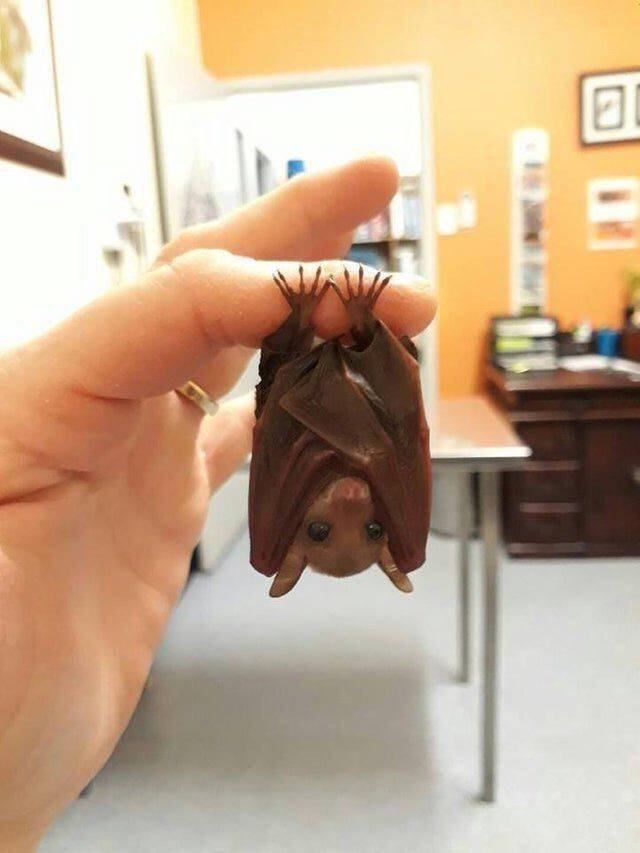Acid Picdump. Part 1 (96 pics)