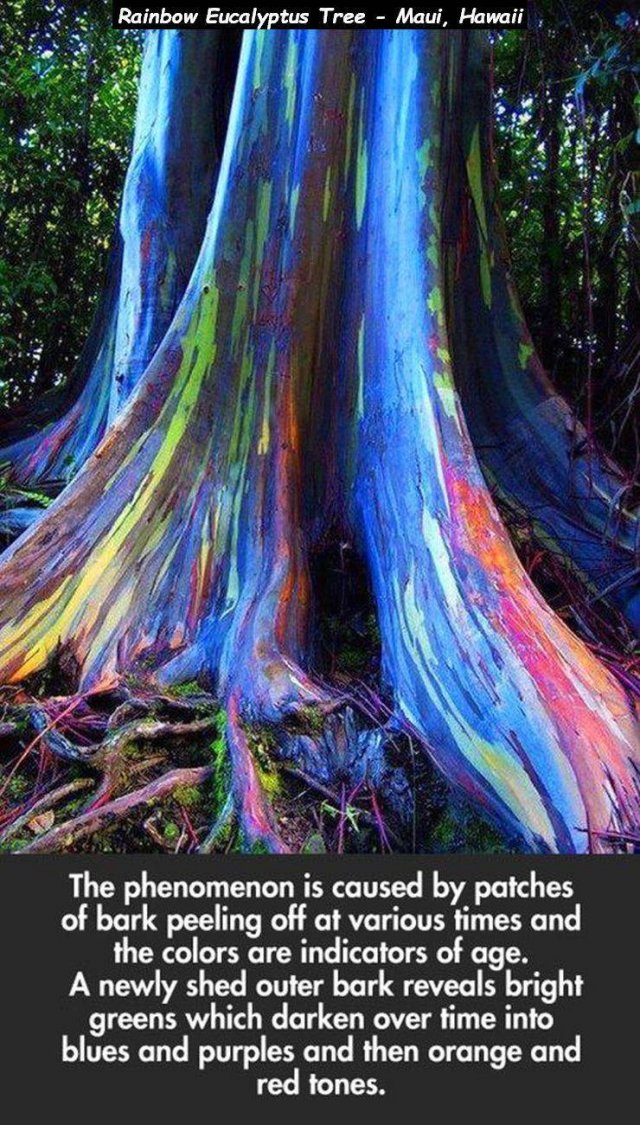 Acid Picdump. Part 1 (96 pics)